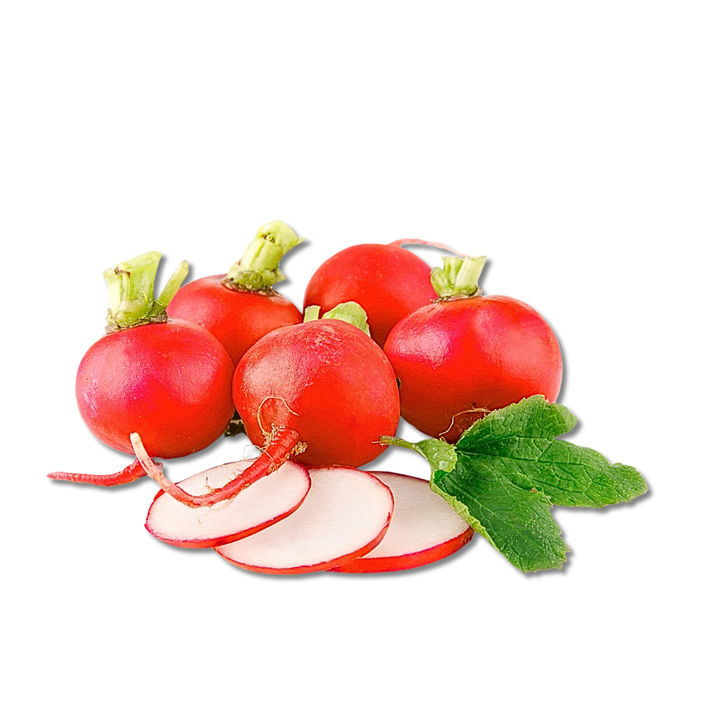 Kırmızı Turp